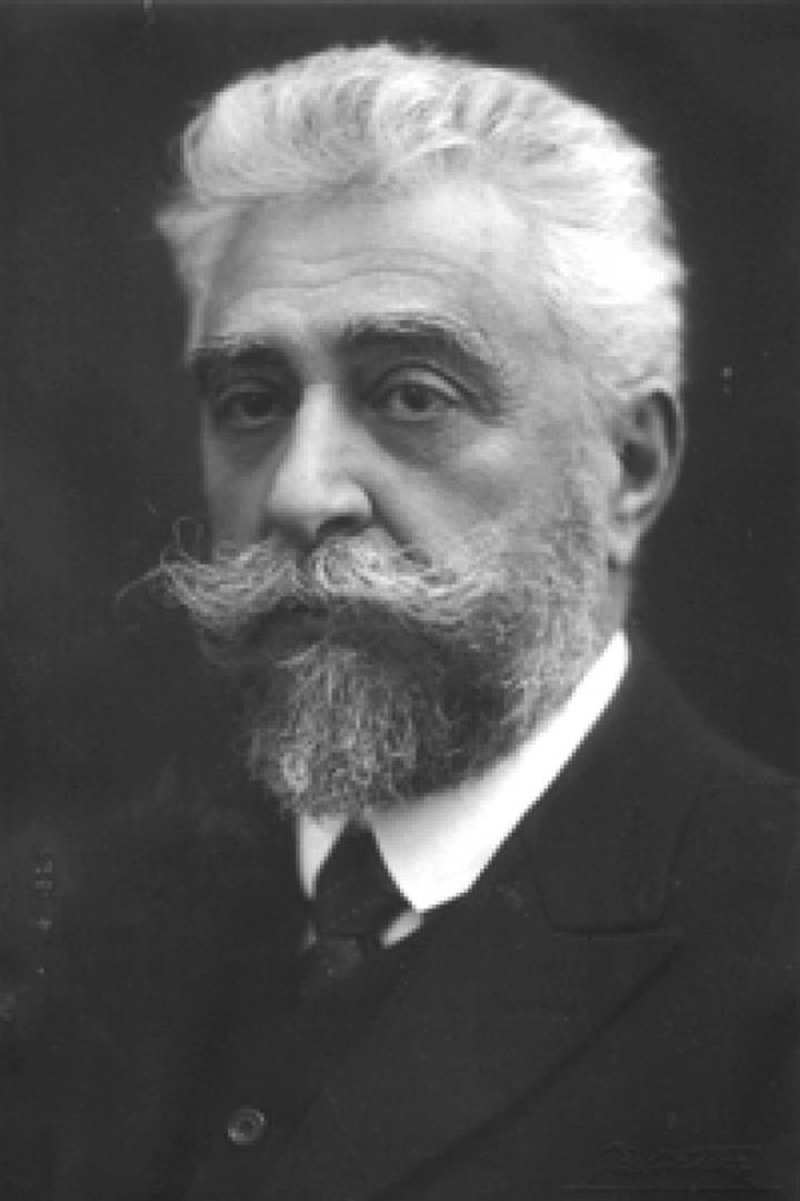 Ion I. C. Brătianu. Portret.